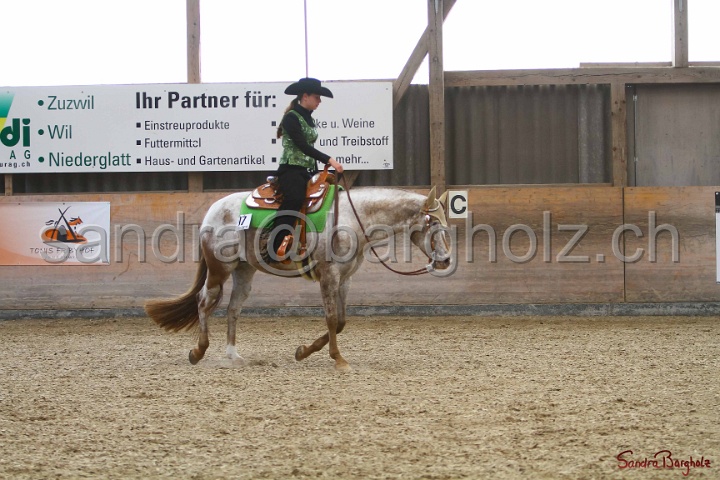 31-ApHC OWP_026.jpg